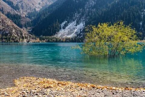 Есік пен белдіктегі фото