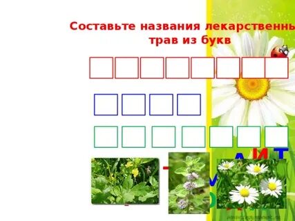 Трава 9 букв
