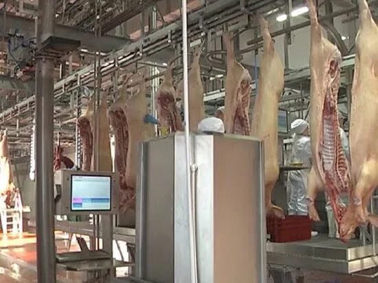 Мираторг курская область. Завод мираторг в курске. мираторг черницыно курская область. мясоперерабатывающий завод курск мираторг. мираторг завод в курской области.