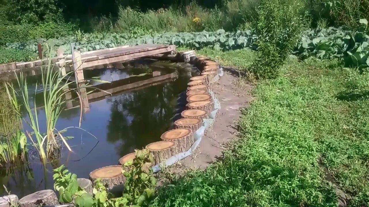 Пруд для рыбы на участке своими руками. Пруд копанка. Рыбоводство пруд копанка. Пруд с карасями на даче. Дачные пруды с рыбой.