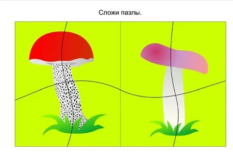 Разрезные картинки грибы