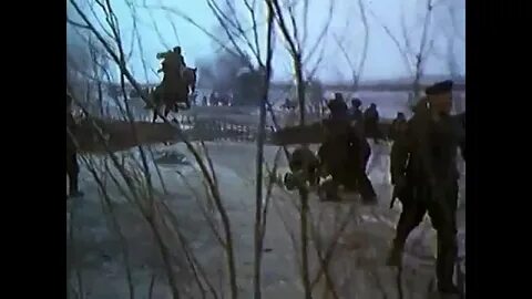 Раненый дон