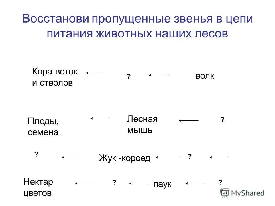 Ошибки в тексте пищевые цепи