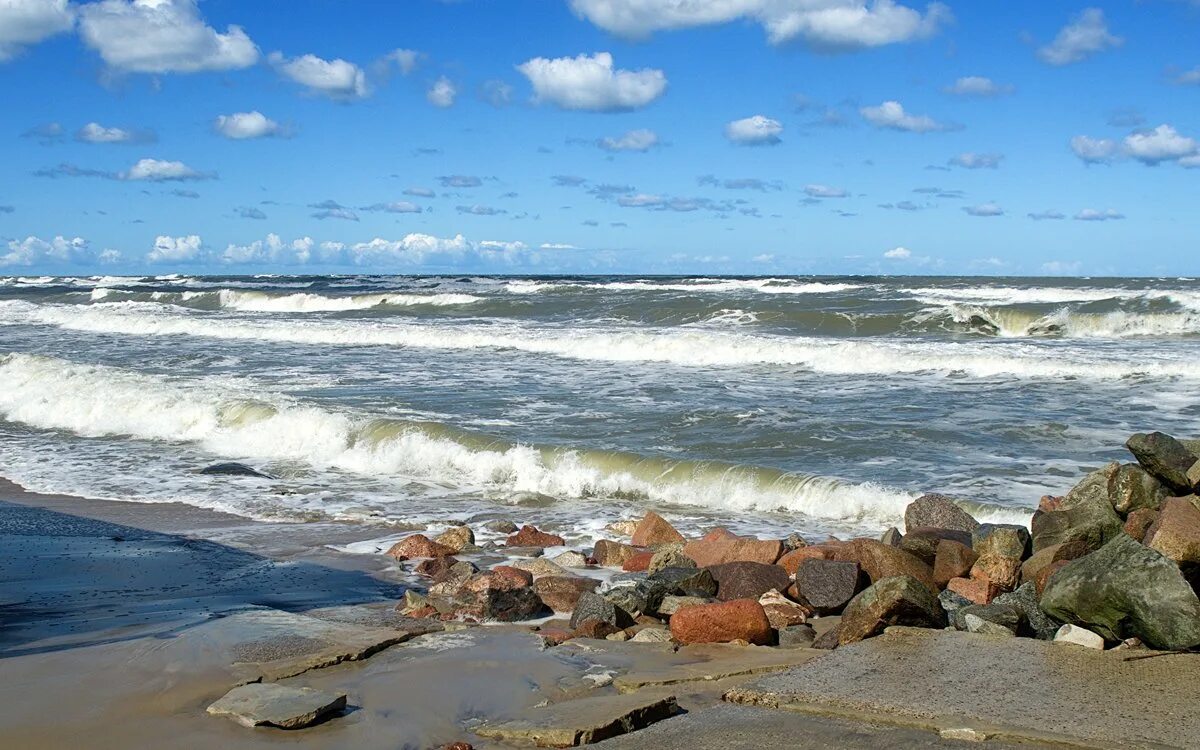 Зеленоградск побережье Балтийского моря. Берег Балтийского моря Зеленоградск. Балтийское море пляж Зеленоградск.