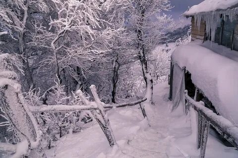 Ледяное безмолвие 1993