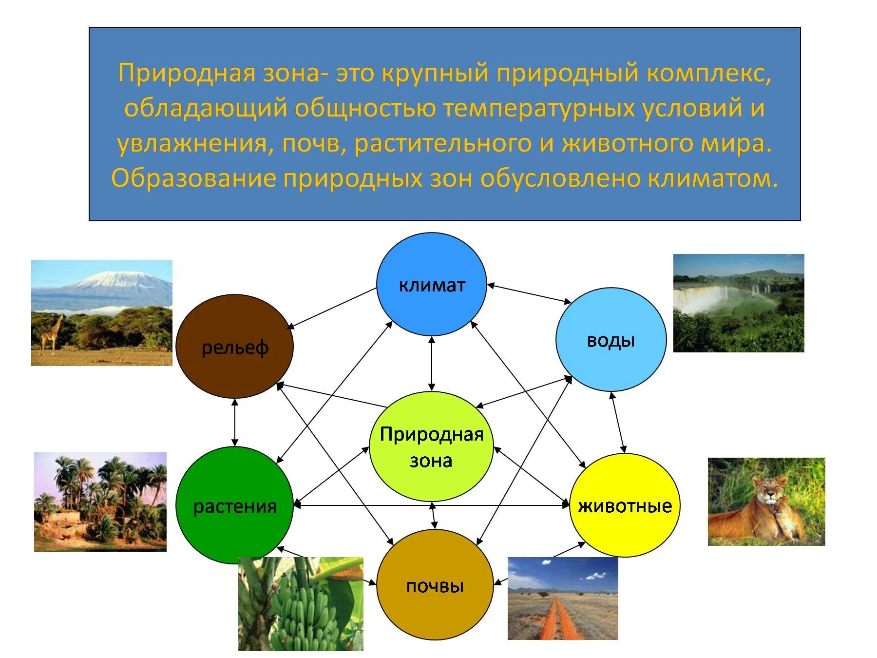 Что влияет на формирование природных зон. Схема природного комплекса. Природная зона это крупный природный комплекс обладающий общностью. Природные компоненты. Виды природных комплексов.