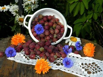 Последний вкус лета
