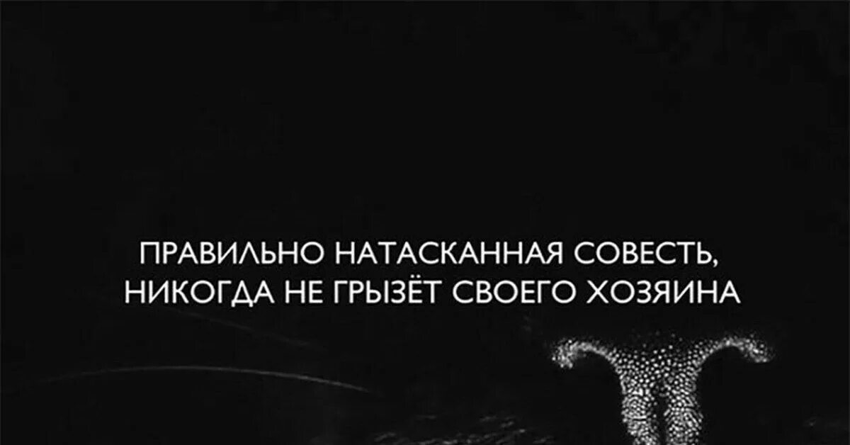 Правильно натасканная совесть. Совесть не грызет. Хорошо натасканная совесть никогда не грызёт своего хозяина. Натасканная не грызет своего хозяина.