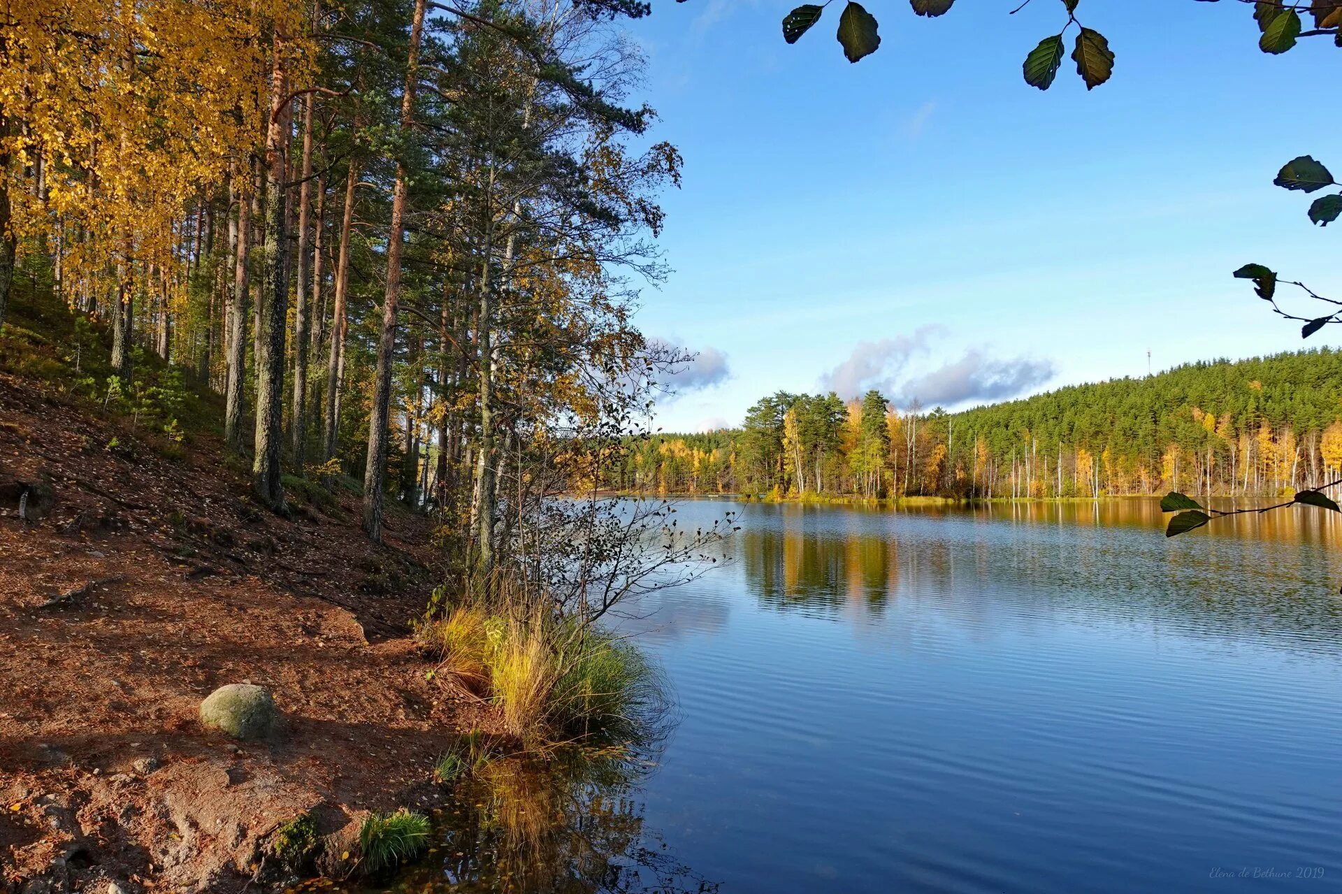 Карельский перешеек семиозерье. Озерная долина дзитаку семиозерье. Озеро длинное семиозерье. Гладышевское озеро семиозерье. Озеро радужное семиозерье.