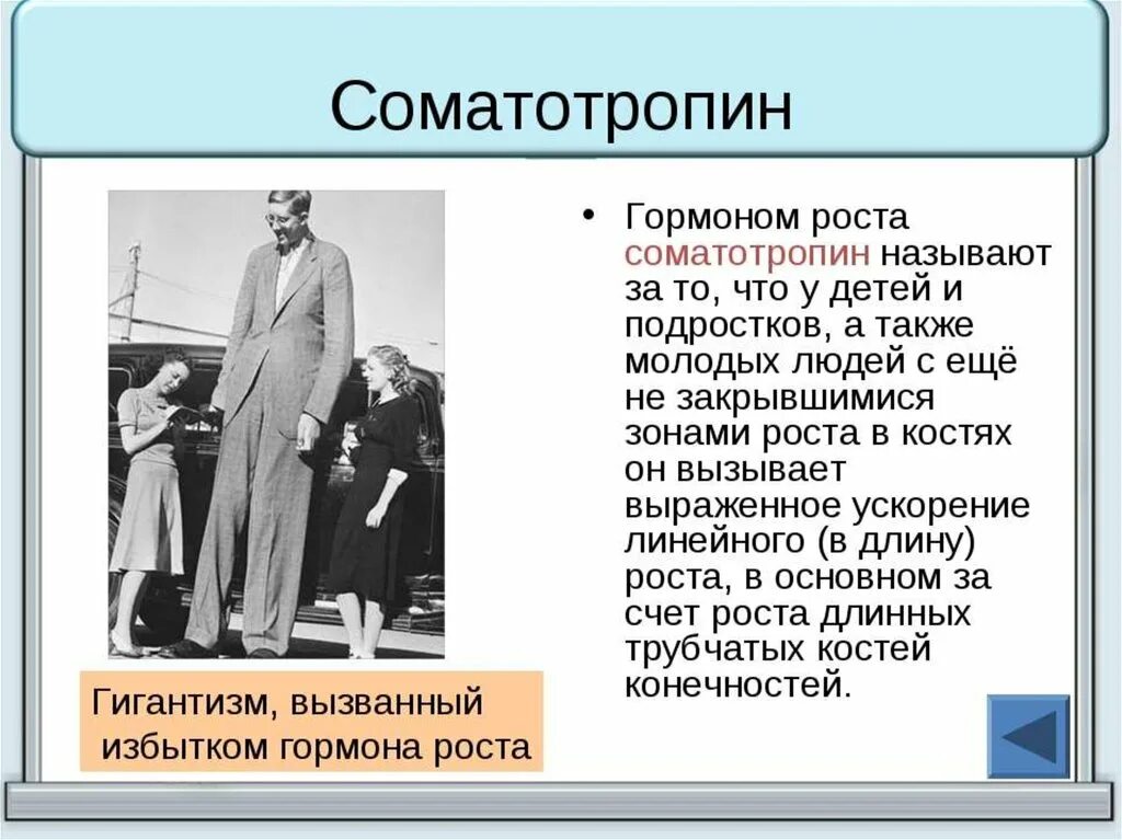 Гормон роста. Соматотропин. Гормон роста соматропин. Гормон роста название. Гормоном роста является