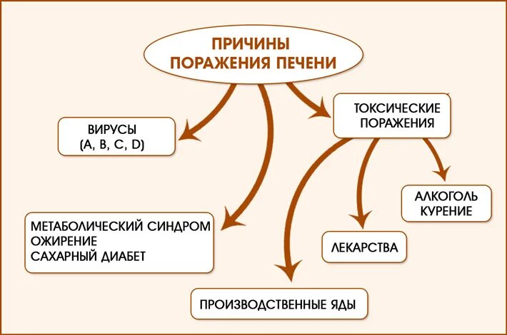 5 причин печень. Функциональные нарушения печени. Причины нарушения функции печени. Причины основных дисфункций печени. Факторы поражающие печень.