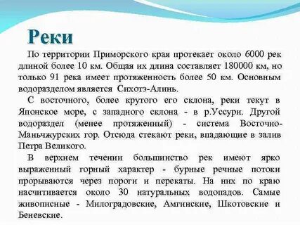 Письмо черепахе