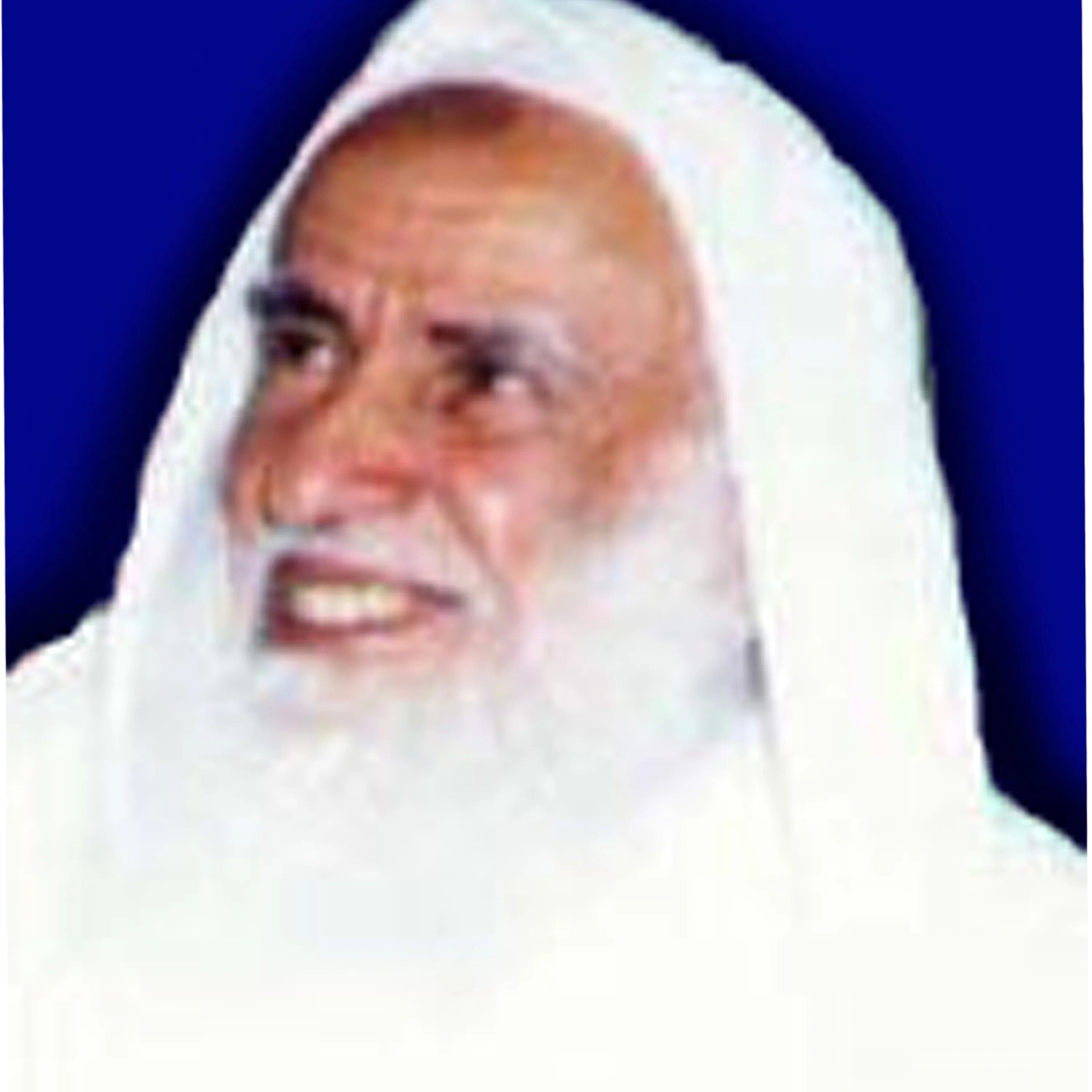 Салих аль усеймин. Шейх салих аль усаймин. Шейх ибн аль усаймин. Шейх мухаммад аль усеймин. Шейх мухаммад ибн салих ибн усеймин.