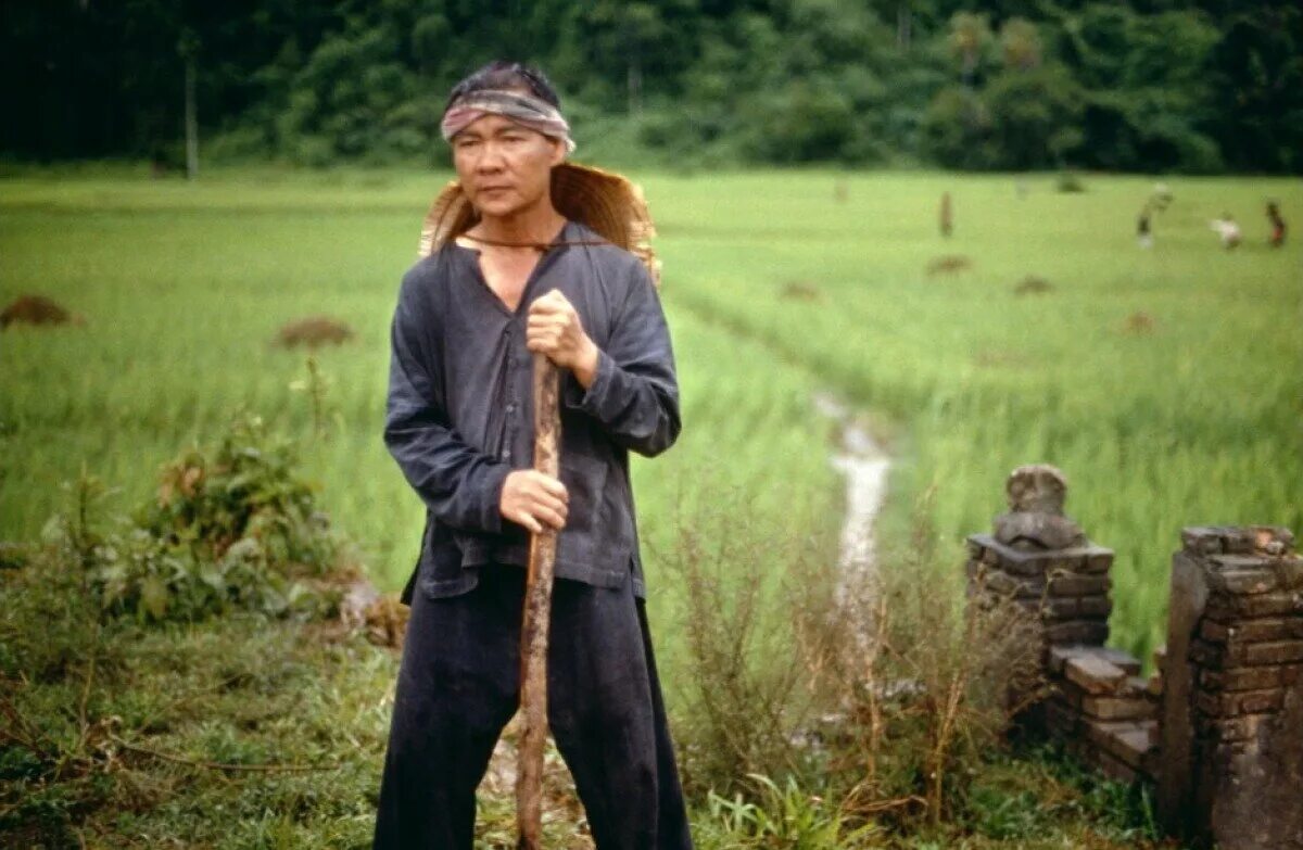 небо и земля фильм 2011. небеса фильм 2011. небо и земля 2011. «небо и земля» режиссер оливер стоун, 1993. вера фармига 2011.