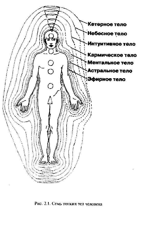 Ментальное определение. Ментальное астральное и эфирное тело человека. 7 Тонких тел человека. Схема тонких тел человека и их функции. 7 Энергетических тел человека.