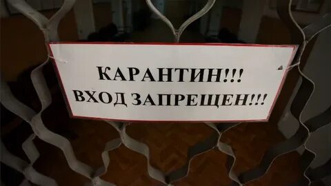 Срок карантина 7