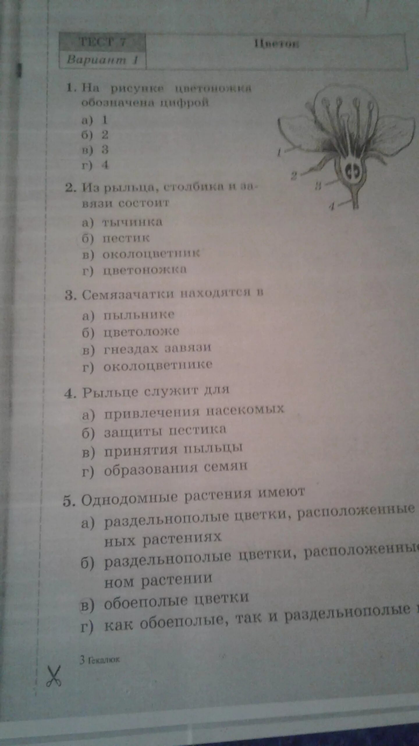 Тесты гекалюк 8. Биология тесты 6 класс гекалюк. Гекалюк тесты по биологии 8 класс. Тест 5 по биологии 8 класс гекалюк. Биология тесты 9 класс гекалюк ответы.