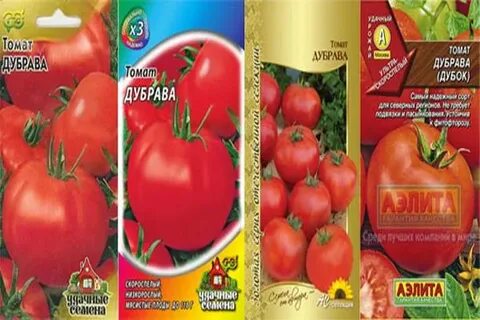 Дубок томат описание сорта характеристика