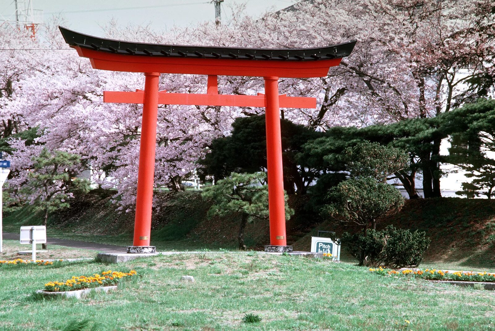 Япония врата тории. Ворота тори в японии. Ворота в храм тории япония. Японские тори. Ворота тории в японии.