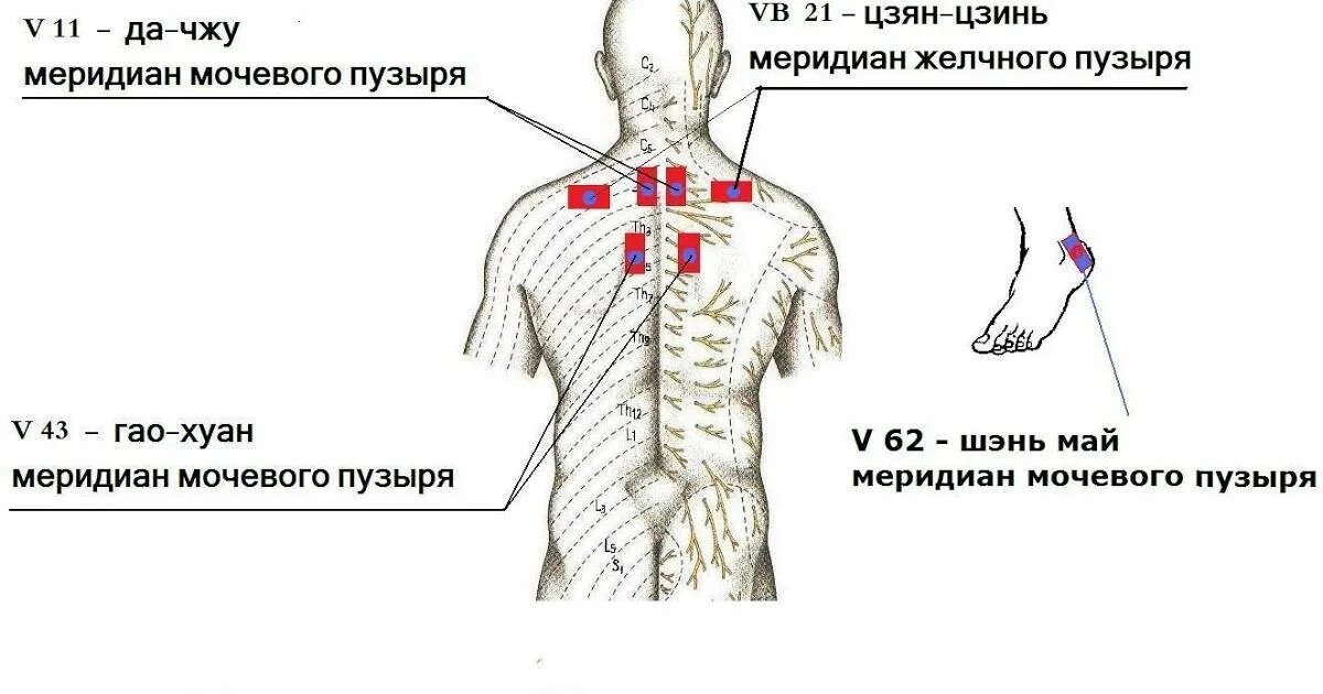 Болит спина в области лопаток причины. Болит под лопаткой с левой стороны.