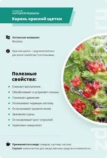 Свойства щетки