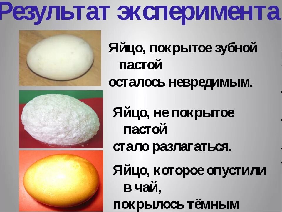 Опыт с солью и яйцом. Детские опыты с яйцами. опыты с яйцом для детей. опыты с яйцом для дошкольников. эксперименты с яйцом для детей.