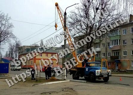 Новозыбков су лайф