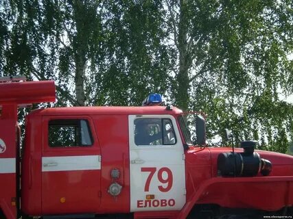 Погода елово пермский край на 14