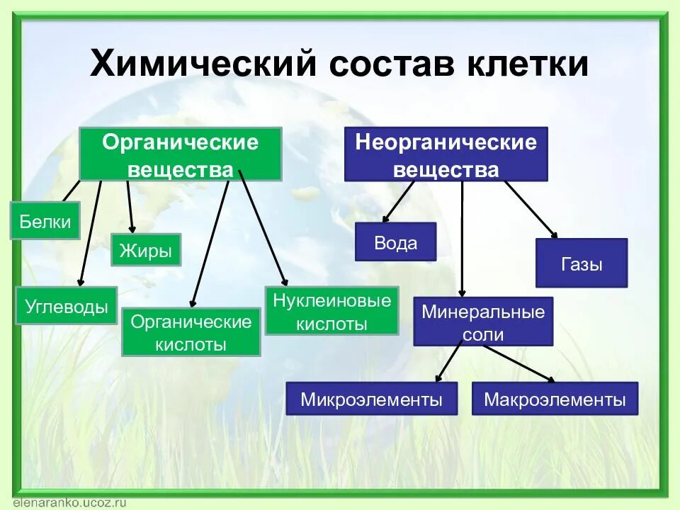 Строение функции веществ виды веществ. Химический состав клетки органические вещества. схема органический и неорганический состав клетки. химический состав клетки схема. химический состав клетки органические и неорганические вещества.