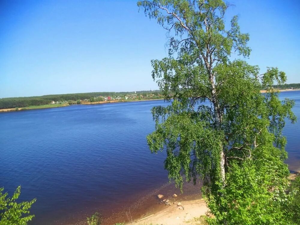 Волго тек