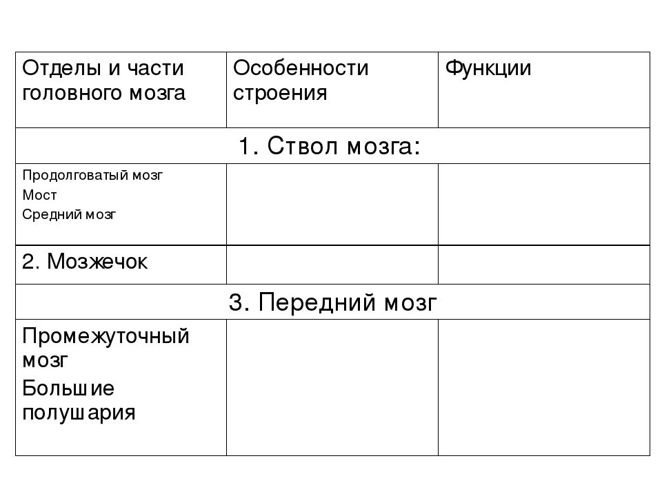 Отделы головного мозга и их функции. Функции отделов ствола головного мозга. Отдел головного мозга строение функции таблица 8 класс. Отделы и части головного мозга особенности строения функции таблица. Ствол мозга строение и функции таблица.