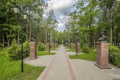 Фото аллея победы