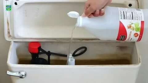 Как отмыть бачок