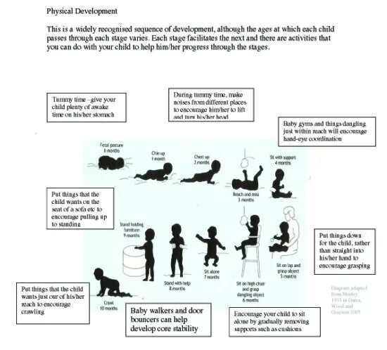 Physical development is. Stages of childhood. physical development of children of the first year of life.. childs developing stages. child development stages.