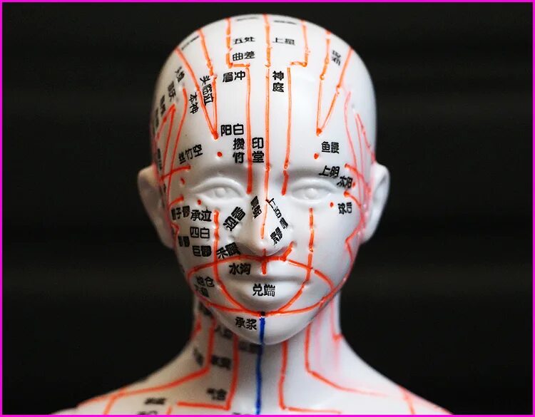 Меридианы человека китайская. Акупунктура меридианы китайская медицина. Меридианы иглоукалывание. Меридианы и точки акупунктуры. Меридианы на голове человека.
