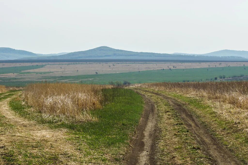 Погода осиновка приморский край михайловский. Григорьевка Приморский край Михайловский район. Село Новожатково Приморский край. Новожатково Приморский край Михайловский район. Григорьевка Хакасия.