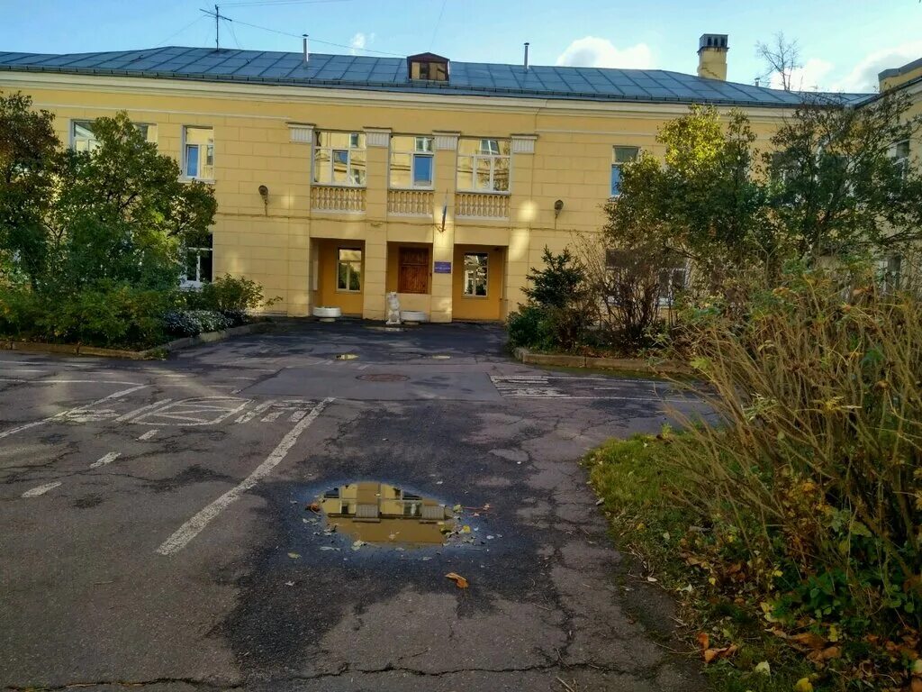 Детский сад на пр стачек 59. Детский сад 196 хабаровск. Детский сад 196 барнаул. Сад 196 отзывы. Детский сад 501 новосибирск.