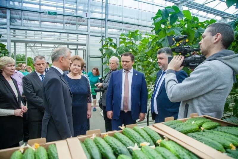 Огурцы трубичино. Магазин трубичино великий новгород. Трубичино директор. Новгород трубичино. Трубичино новгородская область.