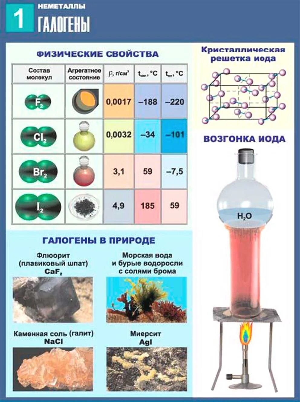 Бром йод астат. Химическая таблица элементов галоген. Химические свойства галогенов таблица ЕГЭ. Хим свойства галогенов таблица. Строение простых веществ галогенов.