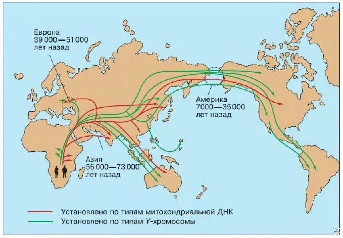 Расселение современного человека. Миграция хомо сапиенс из Африки карта. Расселение кроманьонцев из Африки. Карта миграции хомо сапиенс. Карта миграции древних людей.