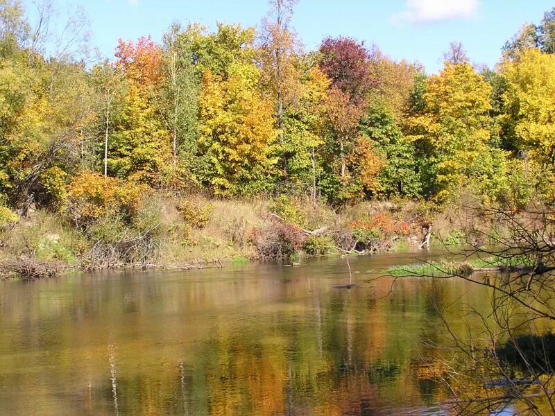 широколиственный лес осенью. жигулевские леса. кувшиновский лес ульяновск. сосновый лес сенгилеевские горы. пейзажи поволжья.