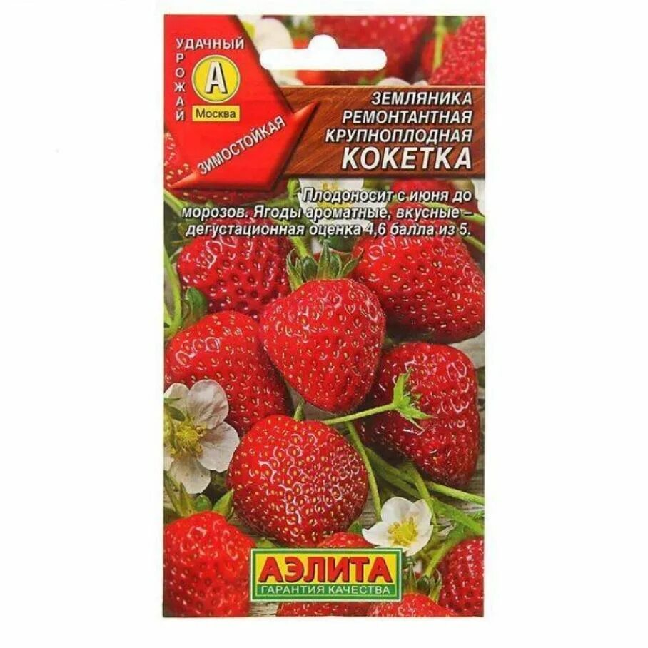 Земляника сорта семян. Семена земляники ремонтантной. земляника крупноплодная семена. земляника ремонтантная кокетка. земляника ремонтантная крупноплодная семена.