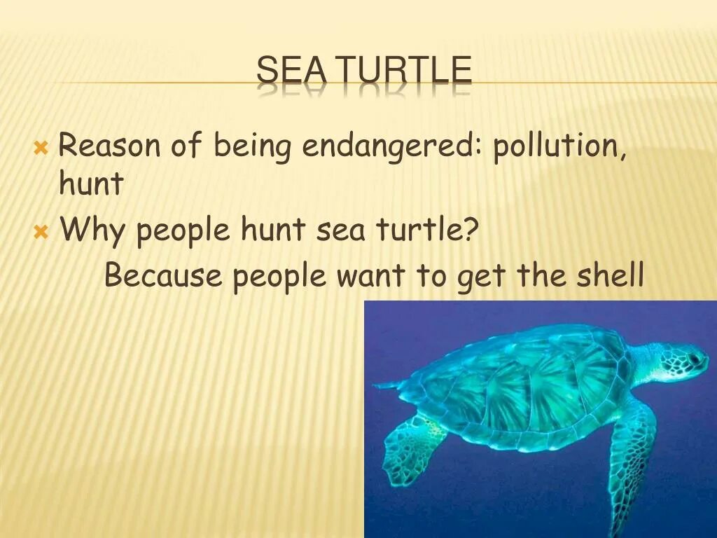 Endangered save get sea. Endangered species of animals презентация. Endangered animals презентация на английском. Animals in Danger 6 класс. Проект endangered species of animals английский.