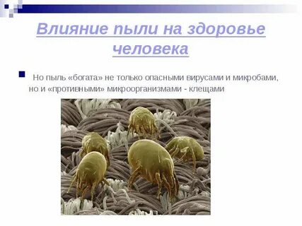 Влияние пыли на человека