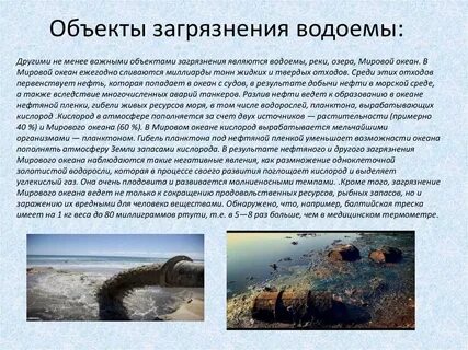 Загрязнение вод мирового океана сообщение