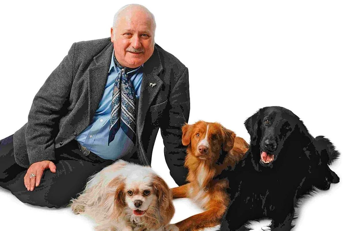 Интеллект собак стенли корена. Стэнли корен. Бейли бейли бейли собачья жизнь. Стэнли корен. Деннис куэйд собачья жизнь.