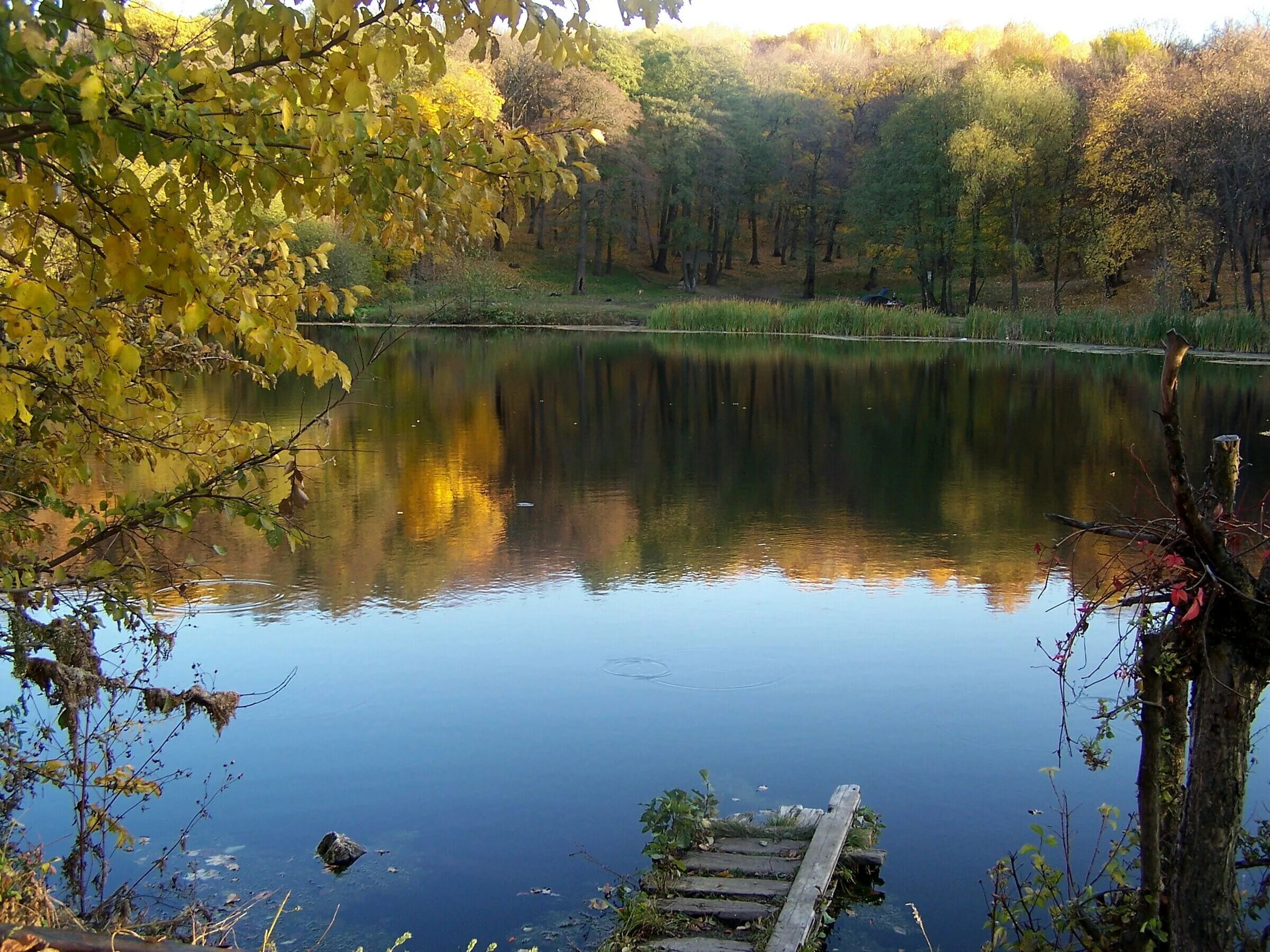 Тихий берег истра пруд. Пруд исполнитель. Пруд исполнитель. Пруд исполнитель. Пруд исполнитель.