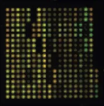 Microarray patch