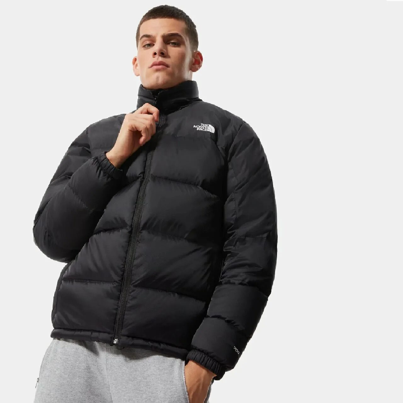 Diablo down. Diablo down. The north face diablo down jacket 700. The north face diablo down. Diablo down.