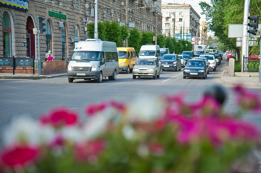 Автотранспорт Волгоград. Автомобильный транспорт Волгограда. Общественный транспорт Волгограда. Автомобильный транспорт Волгоградской области.